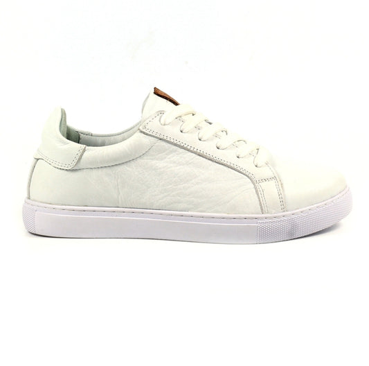 Lazy Dogz Piper trainer DLD003WT White