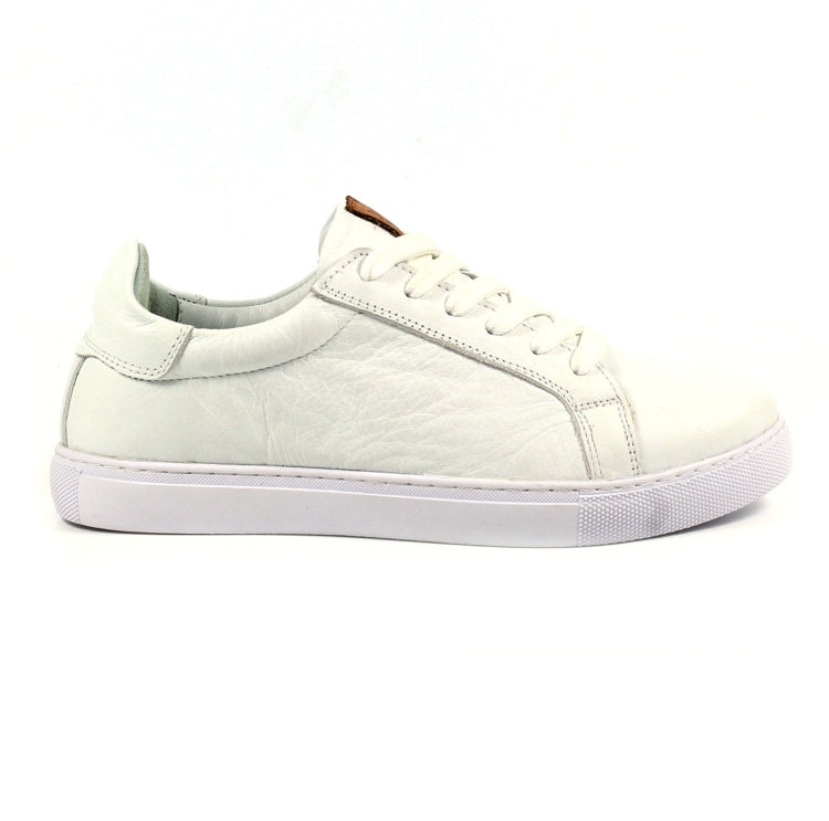 Lazy Dogz Piper trainer DLD003WT White