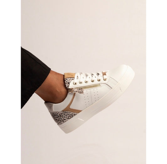 Lunar Presley Trainer