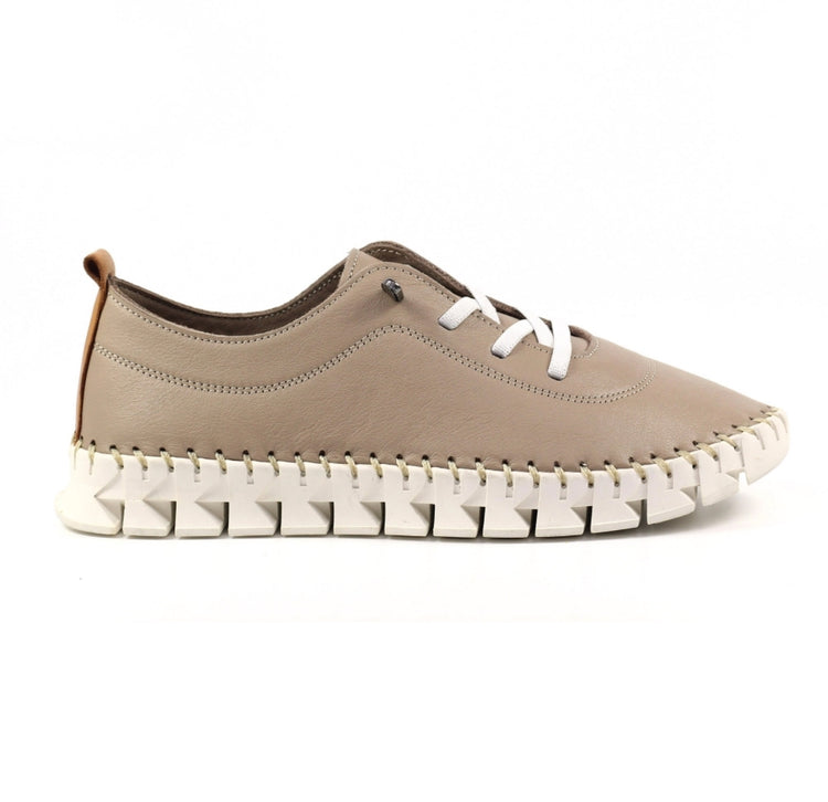 Lunar St Austell Taupe Leather Plimsoll